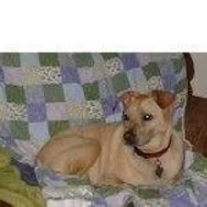 Meet your Posher, Kathleen